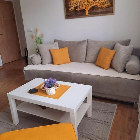 Bankovic Apartman Vrnjačka Banja エクステリア 写真