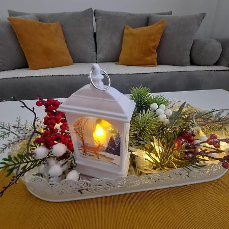 Bankovic Apartman Vrnjačka Banja エクステリア 写真