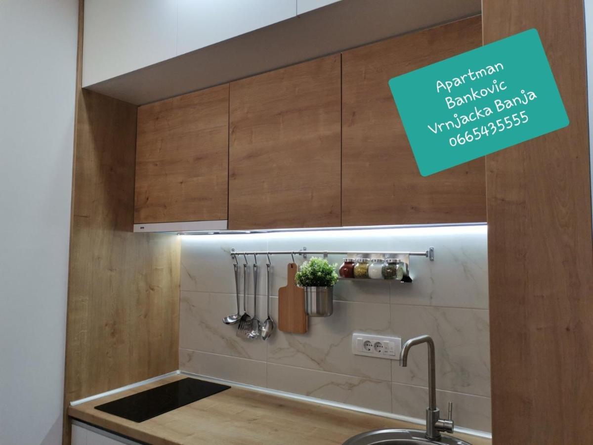 Bankovic Apartman Vrnjačka Banja エクステリア 写真