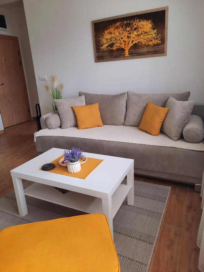Bankovic Apartman Vrnjačka Banja エクステリア 写真