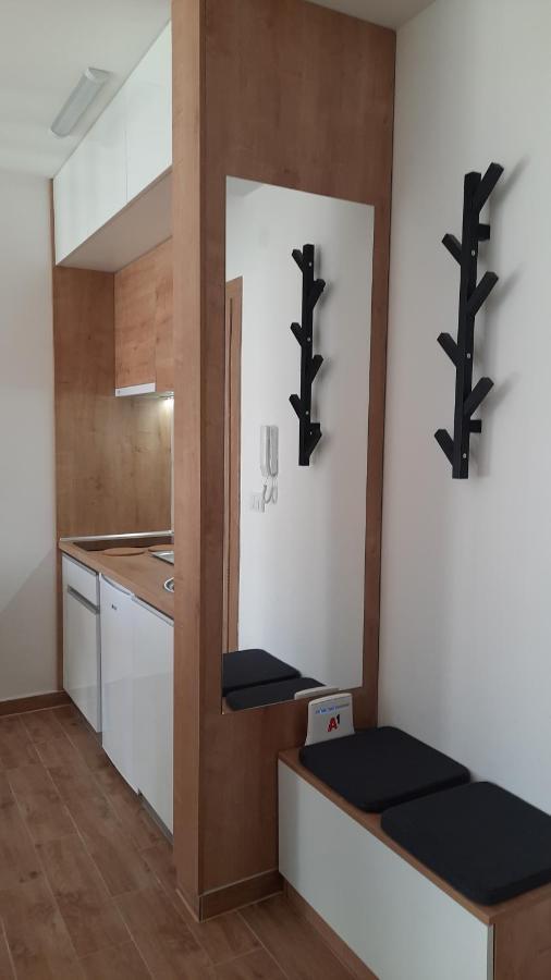 Bankovic Apartman Vrnjačka Banja エクステリア 写真