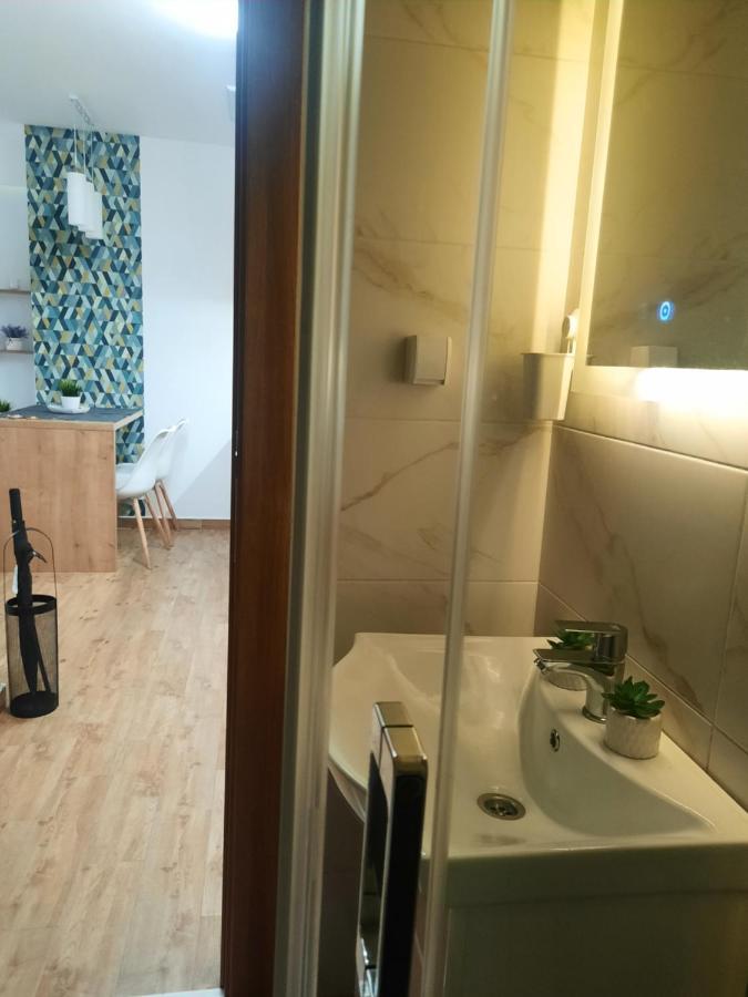 Bankovic Apartman Vrnjačka Banja エクステリア 写真