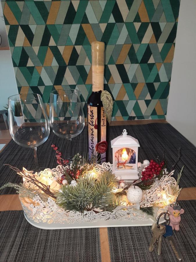 Bankovic Apartman Vrnjačka Banja エクステリア 写真